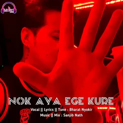 Nok Aya Ege Kure